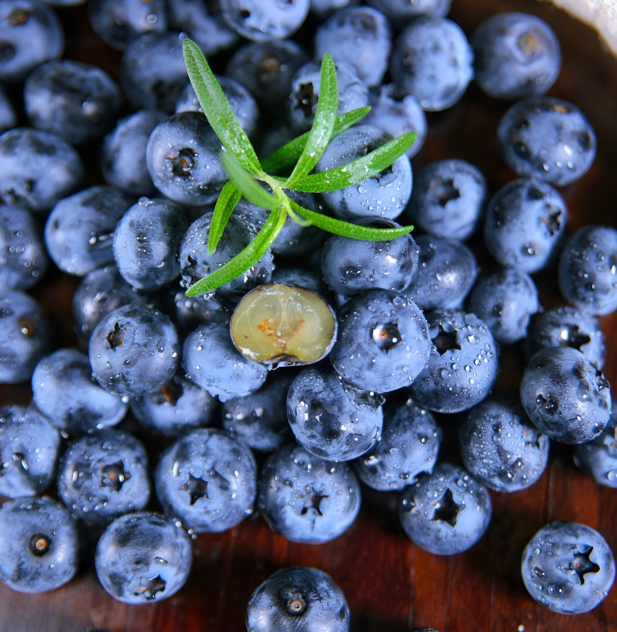 Blueberry Seeds For Indoor And Outdoor Planting