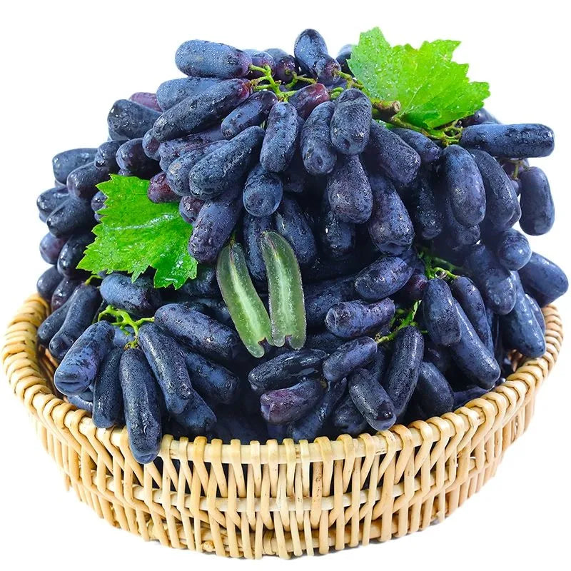 Sapphire Grape Seeds For Backyard Fruit Garden