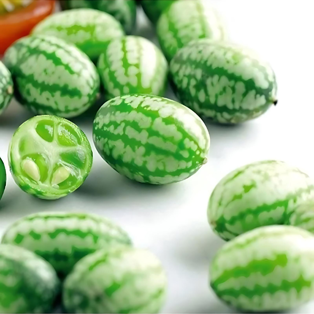 Mini Watermelon Plant Seeds For Garden