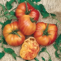 100 Pieces Of Organic Heirloom Large Rainbow Tomato Seeds
