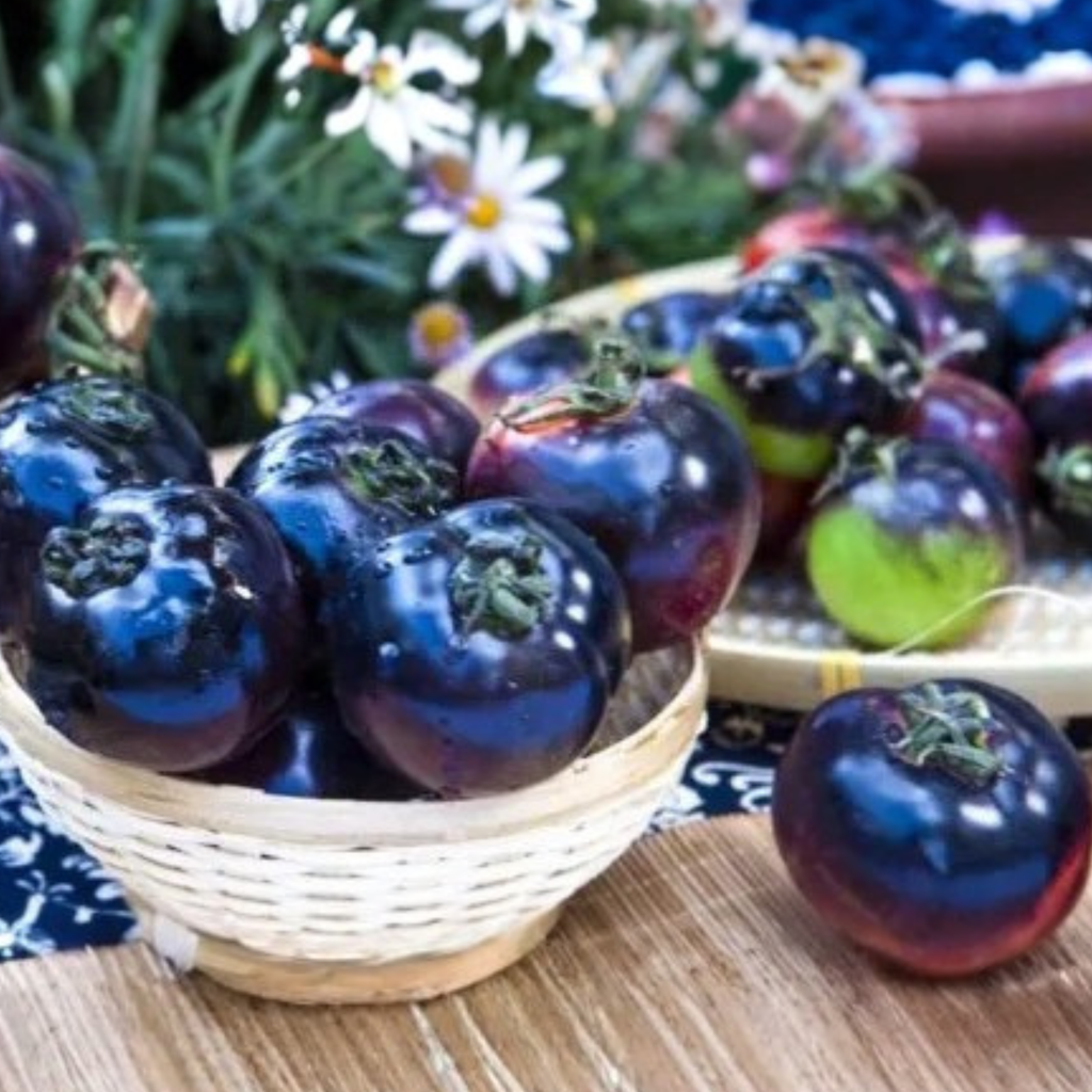 Black Tomato Garden Seeds