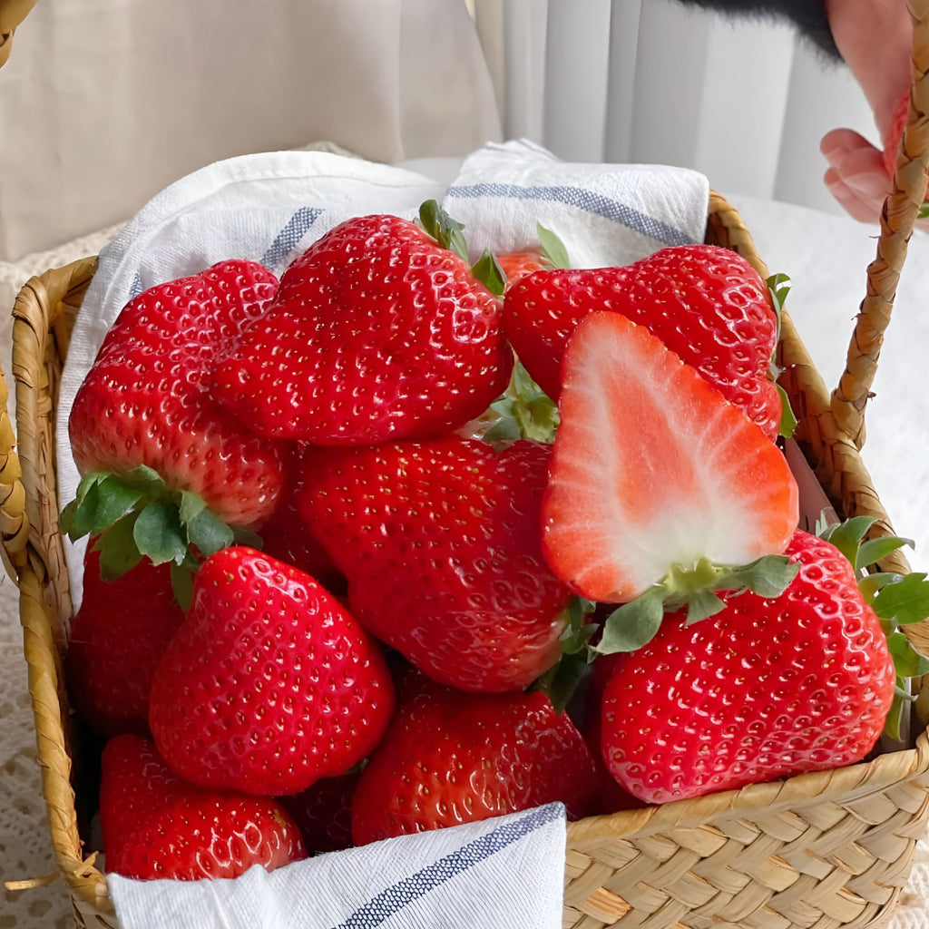 200 Pieces Of Strawberry Seeds For Fall And Spring Planting