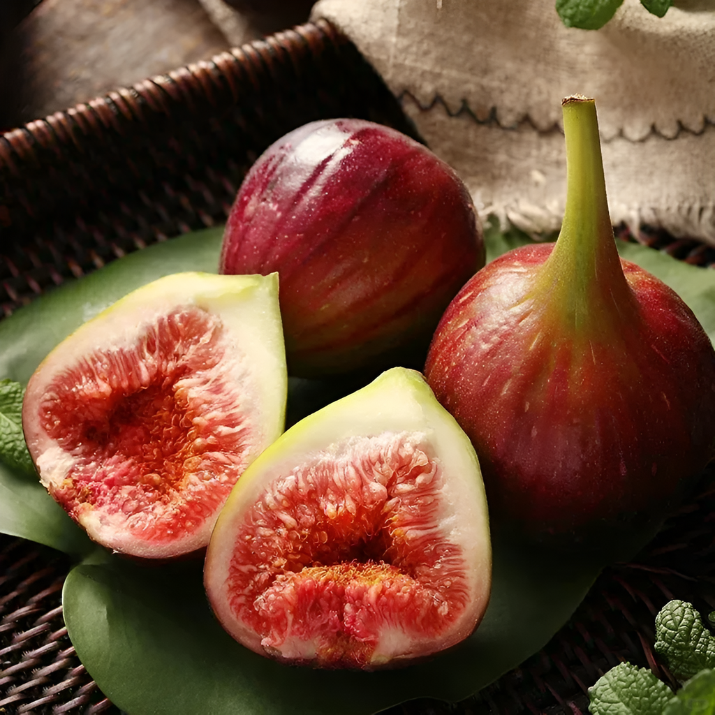 Giant Fig Tree Seeds For Backyard Gardens
